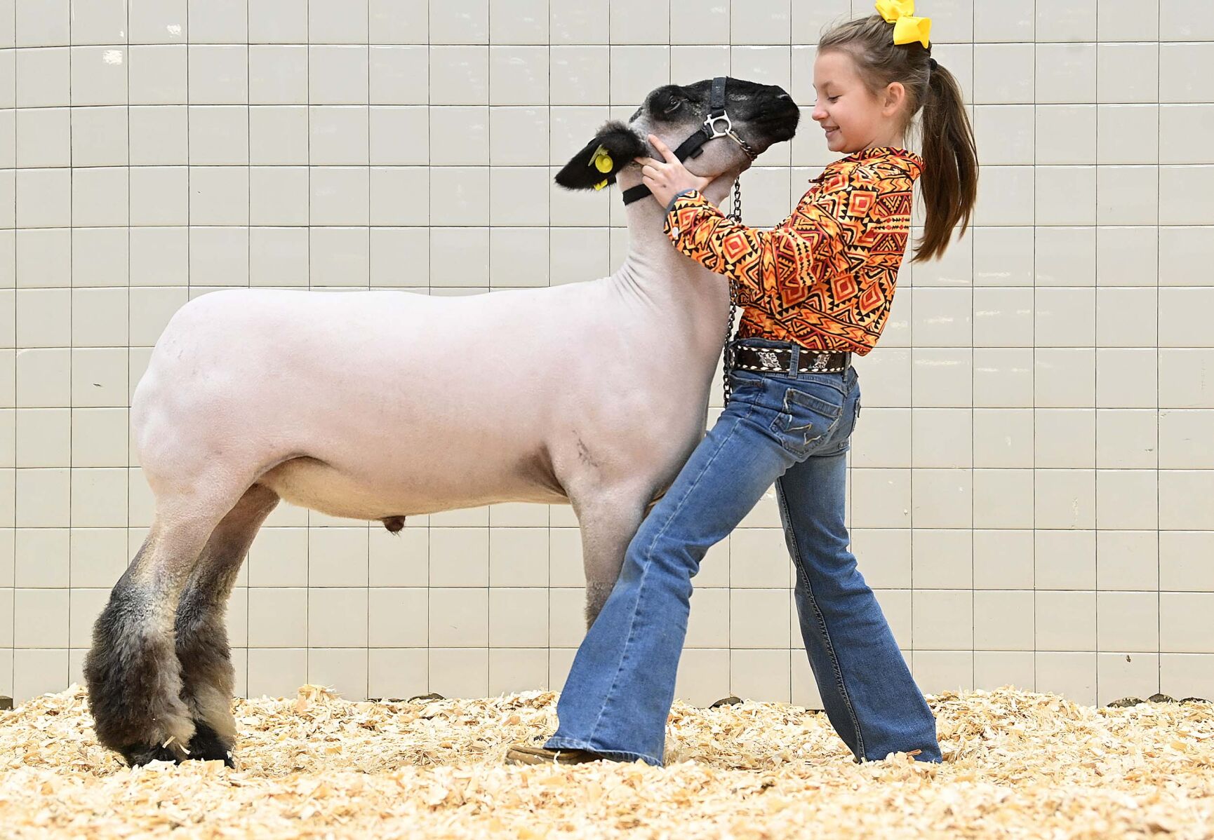 Farm Show PA Tuesday 16.JPG